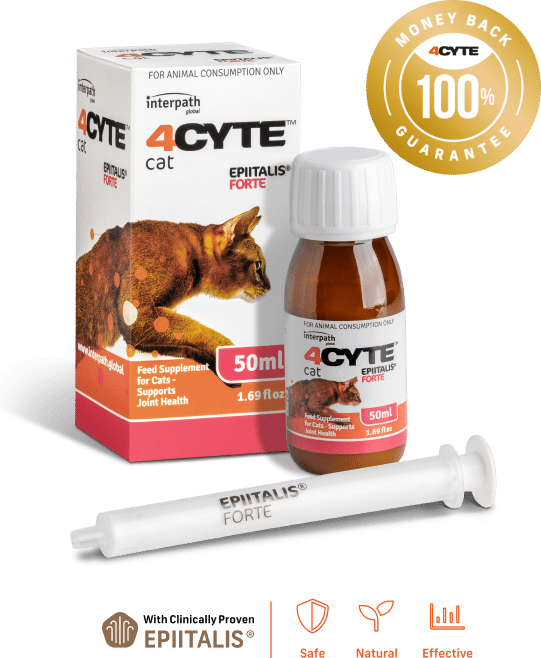 4cyte sale for cats