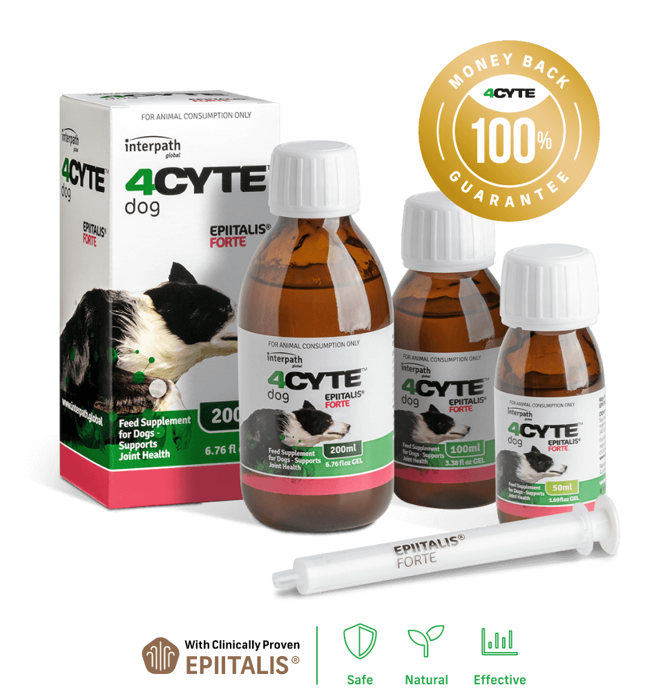 4cyte gel shop for dogs